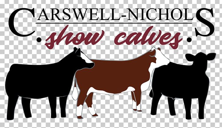 Dairy Cattle Hereford Cattle Sheep Horse Livestock Show PNG, Clipart, Animals, Breed, Breeders, Cattle, Cattle Like Mammal Free PNG Download