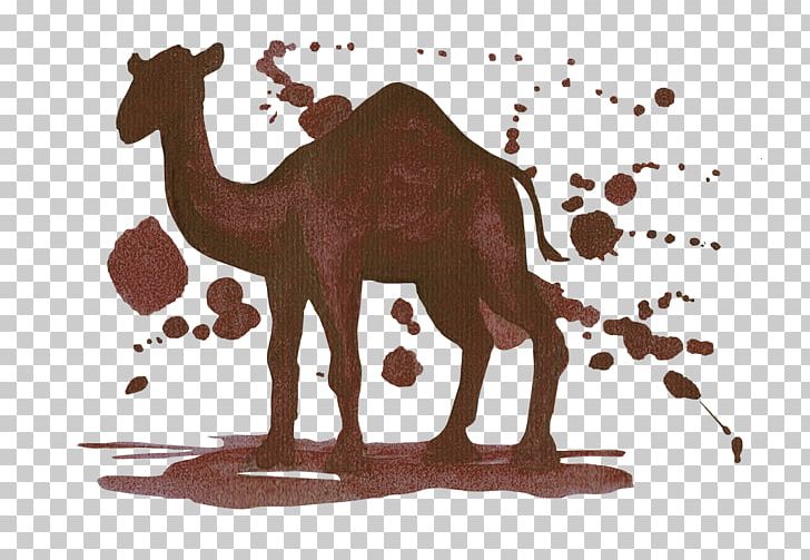 Dromedary One Belt One Road Initiative PNG, Clipart, Animal, Animals, Arabian Camel, Brown Background, Brown Bear Free PNG Download