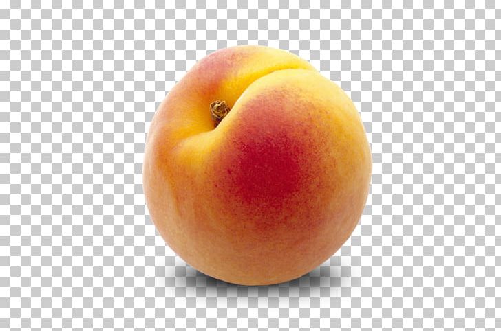 Fruit Peach Apricot Plum Food Preservation PNG, Clipart, Apple, Apricot, Berry, Bright, Can Free PNG Download