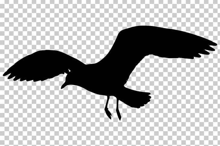 Gulls Silhouette PNG, Clipart, Animals, Beak, Bird, Black And White, Clip Art Free PNG Download