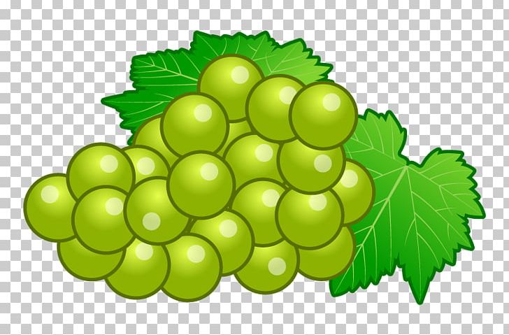 Sultana Grape Seedless Fruit PNG, Clipart, 2016, Berry, Blog, Dots Per Inch, Drawing Free PNG Download