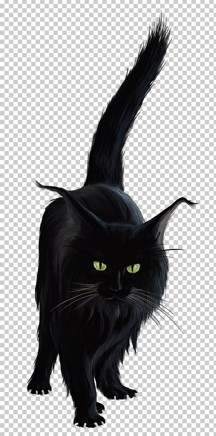 Black Cat Halloween PNG, Clipart, Animals, Animation, Art, Black, Black Cat Free PNG Download