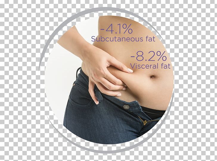 Dubai Health Authority Obesity Overweight Weight Gain PNG, Clipart, Anorexia Nervosa, Arm, Business, Disease, Dubai Health Authority Free PNG Download