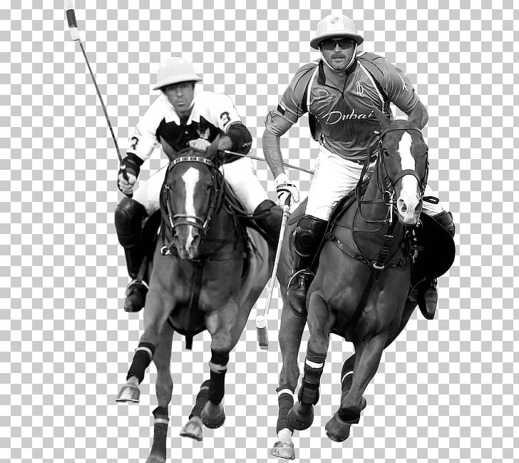Santa María Polo Club Sotogrande Horse Rein PNG, Clipart, Anima, Black And White, Bridle, Clothing, Concacaf Gold Cup Free PNG Download