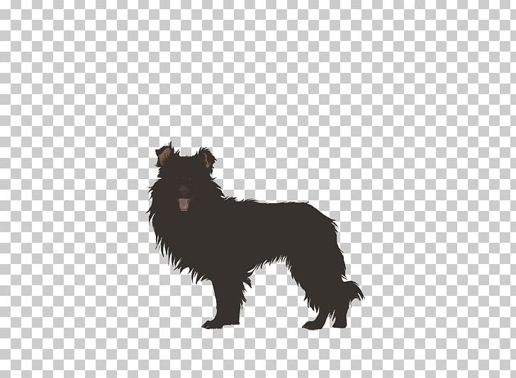 Schipperke Affenpinscher Border Collie Rare Breed (dog) Shetland Sheepdog PNG, Clipart, Adult, Agility, Border Collie, Breed, Breed Group Dog Free PNG Download