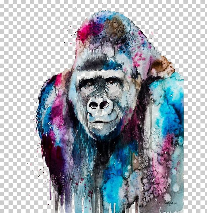Western Lowland Gorilla Watercolor Painting Art Orangutan PNG, Clipart, Animals, Canvas, Cartoon, Cartoon Gorilla, Head Free PNG Download