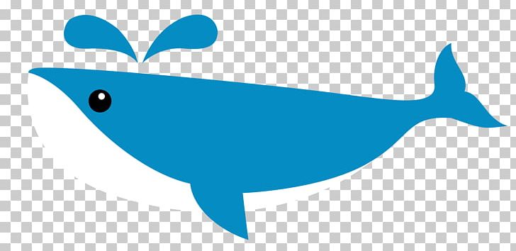 Dolphin Shark Whale PNG, Clipart, Animals, Big Shark, Blue, Blue Whale, Cartilaginous Fish Free PNG Download