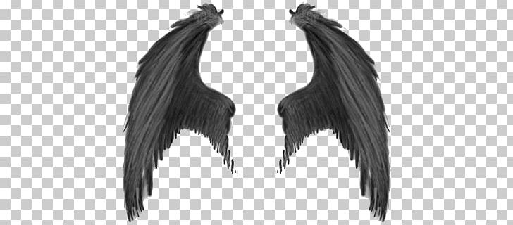 Wings PNG, Clipart, Wings Free PNG Download