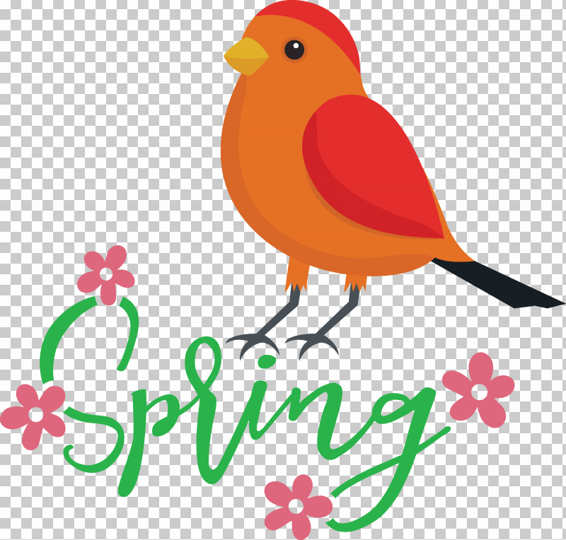 Spring Bird PNG, Clipart, Beak, Bird, Birds, Menu, Meter Free PNG Download