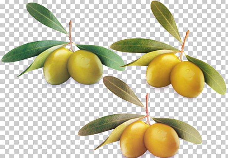 Green Leaf Olive Computer File PNG, Clipart, Background Green, Blue, Bluegreen, Calamondin, Citrus Free PNG Download