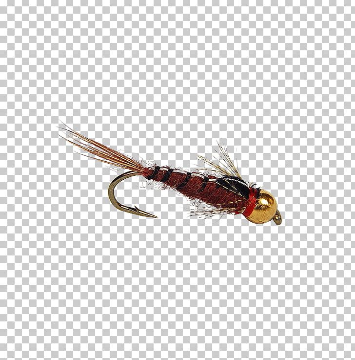 Insect Artificial Fly Bead Fishing Baits & Lures PNG, Clipart, Animals, Artificial Fly, Bead, Beak, Feather Free PNG Download