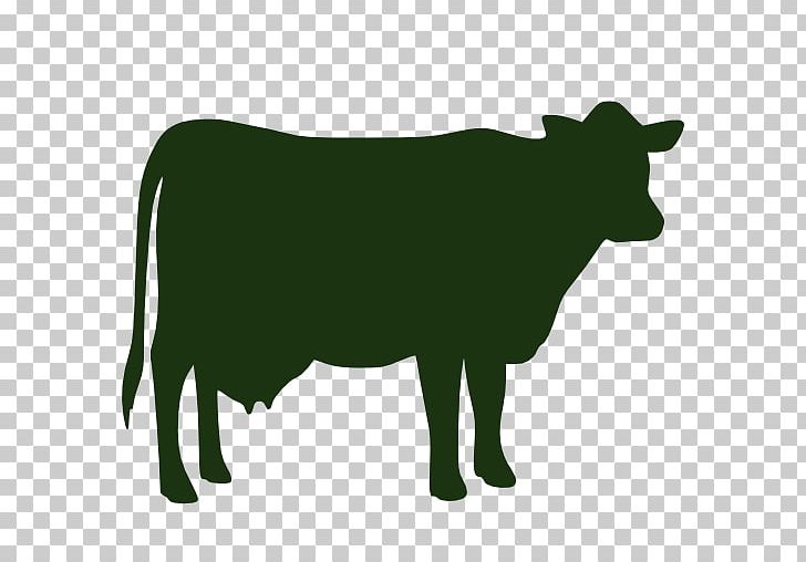 Jersey Cattle Beef Cattle Holstein Friesian Cattle Highland Cattle Angus Cattle PNG, Clipart, Angus Cattle, Animals, Beef Cattle, Black, Black And White Free PNG Download