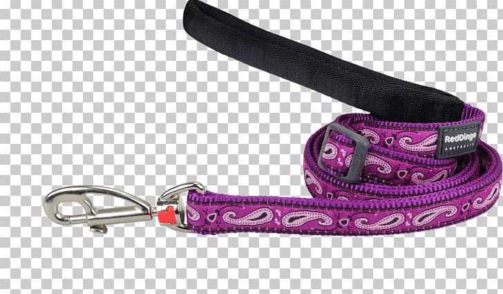 Leash Dog Horse Harnesses Strap Pink PNG, Clipart, 6 P, Animals, Belt, Color, Dimension Free PNG Download