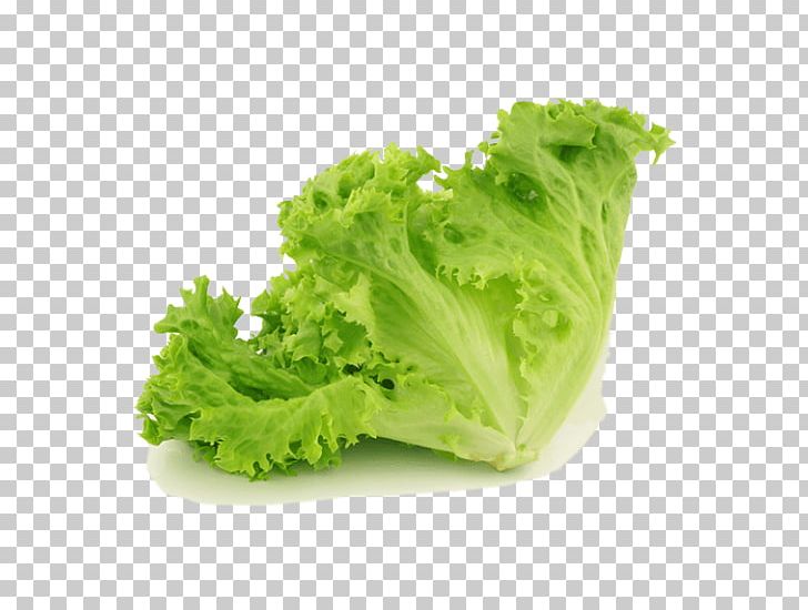 Red Leaf Lettuce Salad Stock Photography Vegetable PNG, Clipart, Can Stock Photo, Endive, Food, Istock, Leaf Free PNG Download