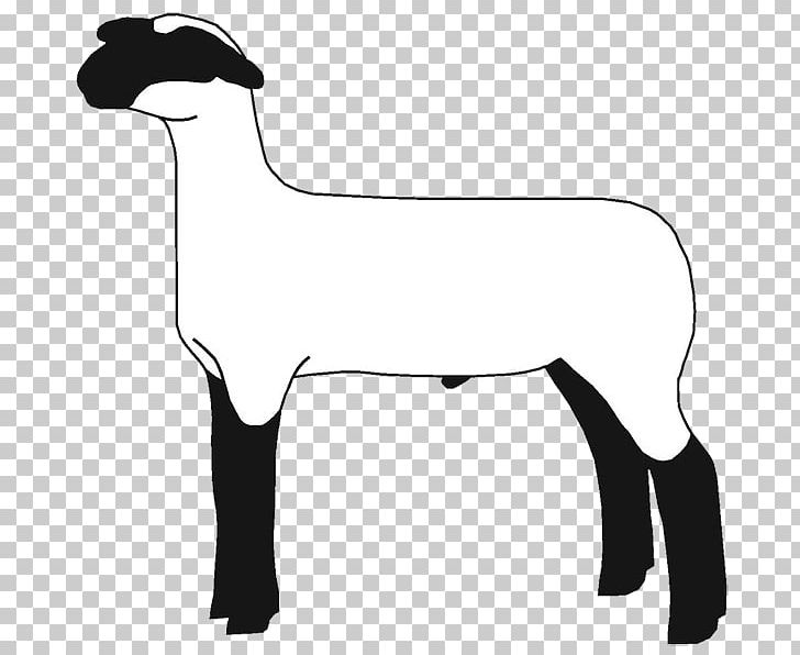 Sheep Goat Cattle Mammal PNG, Clipart, Animals, Big Sheep, Black And White, Carnivoran, Cat Like Mammal Free PNG Download