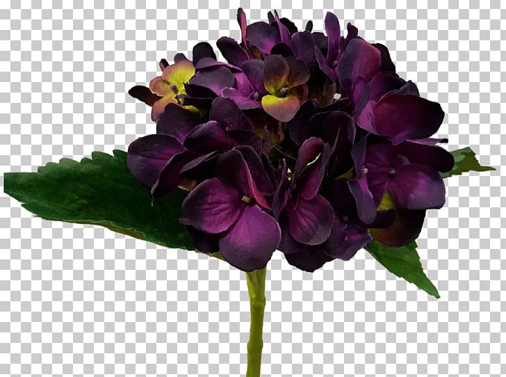Cut Flowers Hydrangea Eggplant Violet PNG, Clipart, Annual Plant, Cut Flowers, Eggplant, Family, Flower Free PNG Download