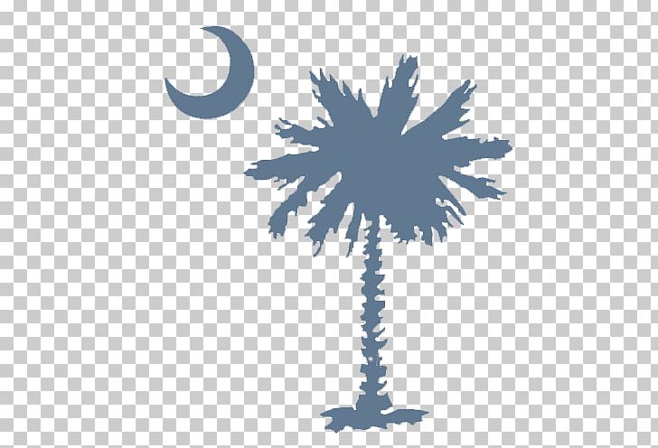 Easley High School Irmo Myrtle Beach Flag Of South Carolina PNG, Clipart, Computer Wallpaper, Easley, Flag Of South Carolina, Irmo, Leaf Free PNG Download