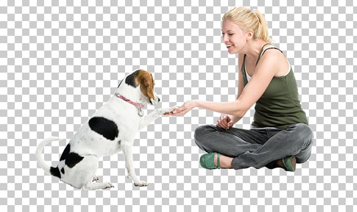 Puppy Beagle Dachshund Pet Sitting Dog Training PNG, Clipart, Beagle, Cesar Millan, Child, Companion Dog, Dachshund Free PNG Download