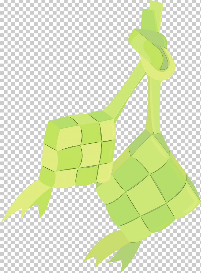 Ketupat PNG, Clipart, Biology, Cartoon, Diagram, Drawing, Green Free PNG Download