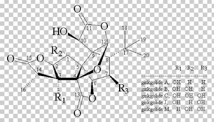 Ginkgo Biloba Glycoside Quercetin Flavones Flavonoid PNG, Clipart, Angle, Antioxidant, Area, Black And White, Chemistry Free PNG Download