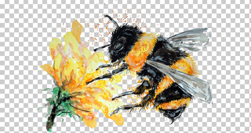 Bumblebee PNG, Clipart, Bee, Blowflies, Bumblebee, Carpenter Bee, Fly Free PNG Download