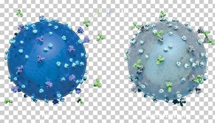 Antibody T Cell Envelope Glycoprotein GP120 Lymphocyte PNG, Clipart, Aids, Antibody, Binding Site, Blue, Cd4 Free PNG Download