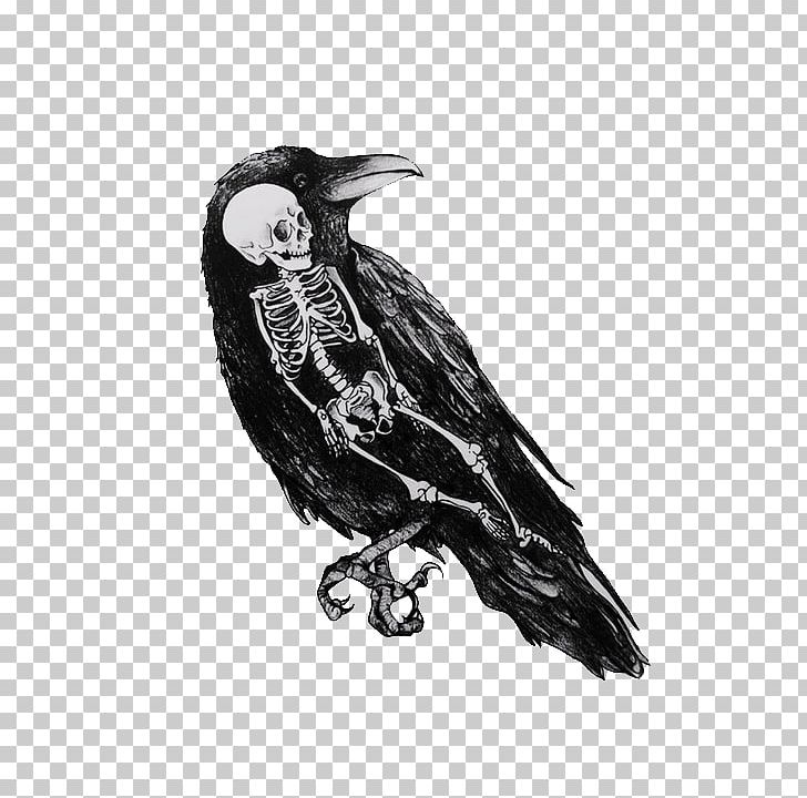 Drawing Crow Black And White Art PNG, Clipart, Animals, Art, Beak, Bird, Bird Of Prey Free PNG Download