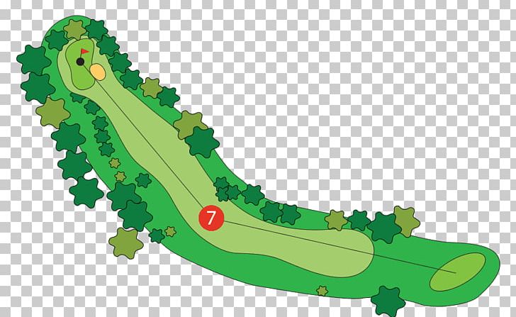 Golf Course Par Golf Tees Wood PNG, Clipart, Country Club, Crocodilia, Freeway Golf Course, Golf, Golf Course Free PNG Download