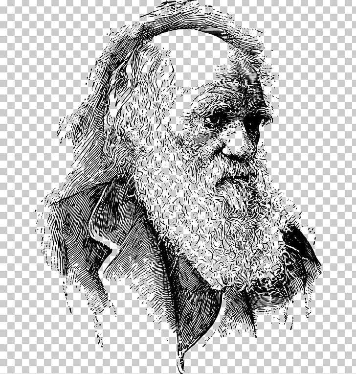 On The Origin Of Species Evolutionary Medicine Evolutionary Psychology Darwinism PNG, Clipart, Abiogenesis, Adaptation, Art, Artwork, Beard Free PNG Download