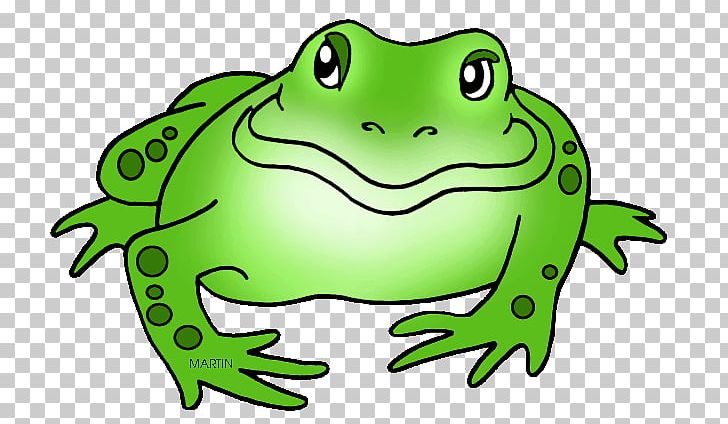 Amphibians American Bullfrog PNG, Clipart, American Bullfrog, Amphibian, Amphibians, Animal Figure, Animals Free PNG Download