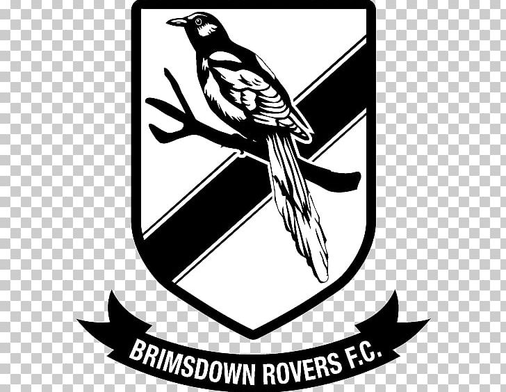Brimsdown Rovers F.C. Brimsdown Rovers Football Club Blackburn Rovers F.C. Logo PNG, Clipart, Art, Artwork, Beak, Bird, Black Free PNG Download