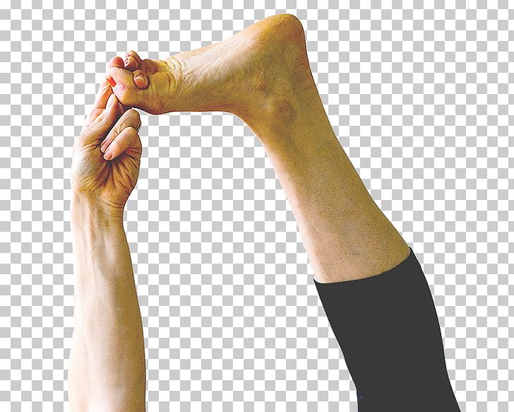 Meadowlark Yoga Finger Calf Shoulder PNG, Clipart, Ankle, Arm, Bandage, Calf, Edinburgh Free PNG Download