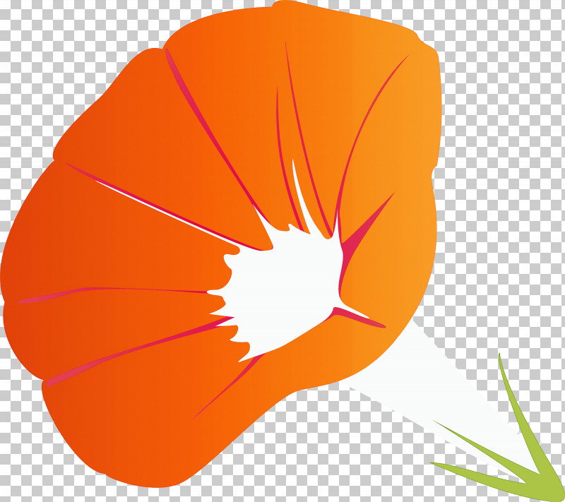 Morning Glory Flower PNG, Clipart, Flower, Leaf, Morning Glory, Morning Glory Flower, Orange Free PNG Download