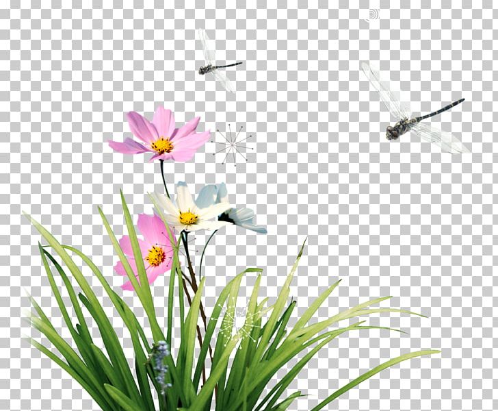 Floral Design Flower Icon PNG, Clipart, Computer Wallpaper, Cut Flowers, Down, Flora, Floristry Free PNG Download