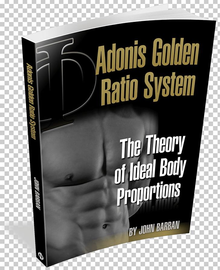 Golden Ratio Muscle Beauty Exercise PNG, Clipart, Abdominal Obesity, Adipose Tissue, Advertising, Beauty, Bodybuilding Free PNG Download