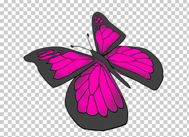 Butterfly Pink Purple Drawing PNG, Clipart, Art, Brush Footed Butterfly, Butterfly, Color, Drawing Free PNG Download