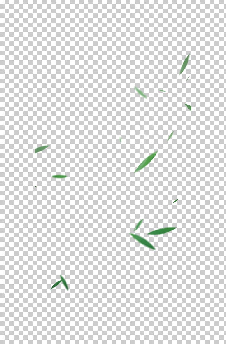 Green Bamboo Chinoiserie PNG, Clipart, Angle, Autumn Leaves, Bamboo, Bambusa Oldhamii, Banana Leaves Free PNG Download