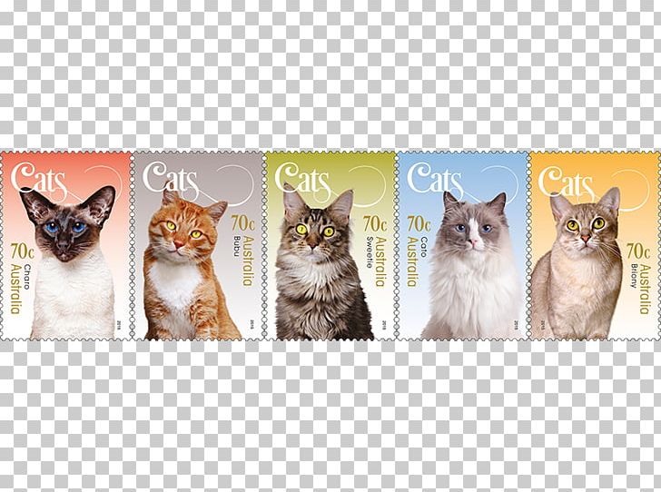Kitten Postage Stamps Australia Philately Stamp Collecting PNG, Clipart, Australia, Carnivoran, Cat, Catlike, Cat Like Mammal Free PNG Download