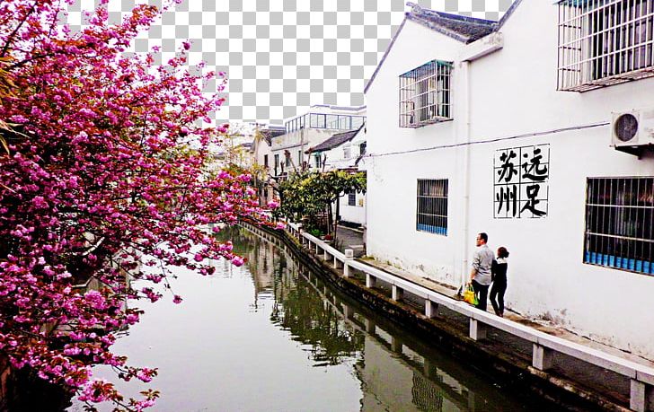 Pingjiang Road Suzhou Impression Jiangnan Liutu PNG, Clipart, Encapsulated Postscript, Flower, Flowers, Off Road, Photography Free PNG Download