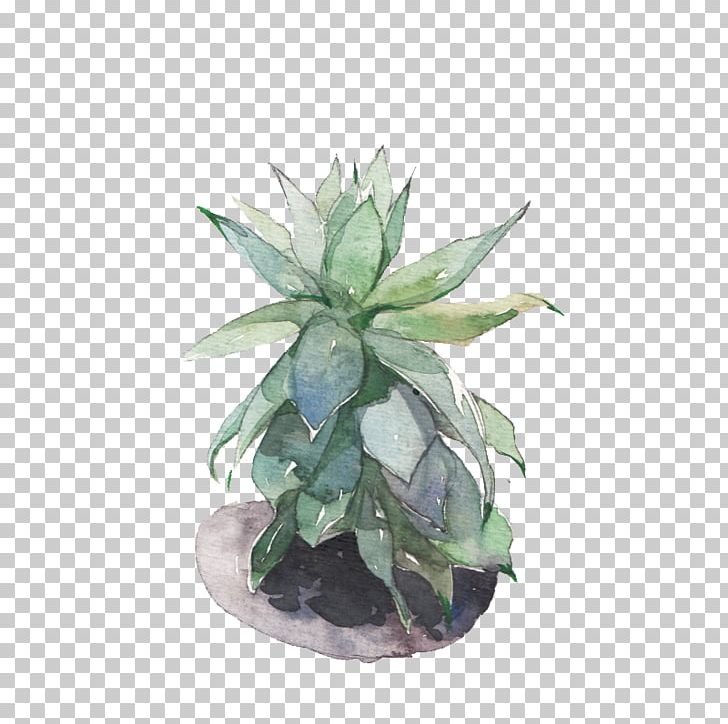 Succulent Plant Viridiplantae Leaf PNG, Clipart, Cactaceae, Creative Work, Download, Flowerpot, Food Drinks Free PNG Download