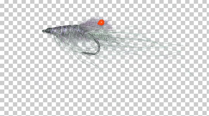 Fish PNG, Clipart, Fish, Fly, Hug, Orange, Organism Free PNG Download