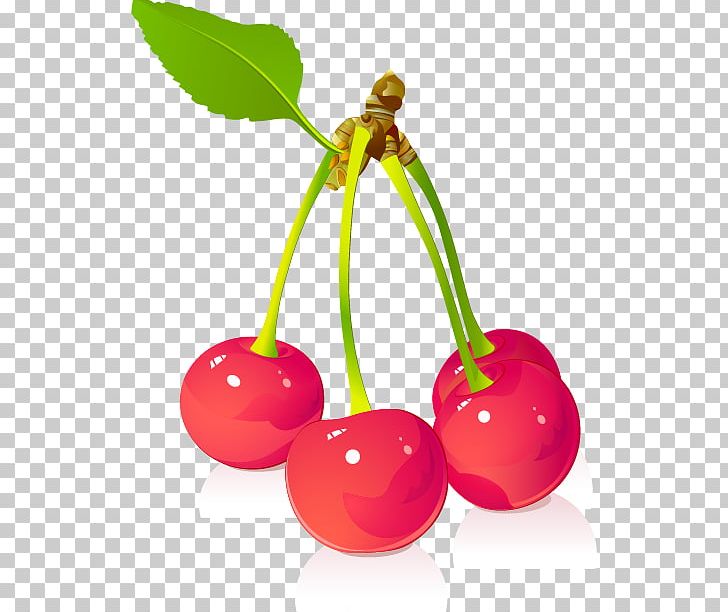 Juice Cherry Fruit Euclidean PNG, Clipart, Blossoms Cherry, Cartoon, Cartoon Cherry, Cherries, Cherry Free PNG Download