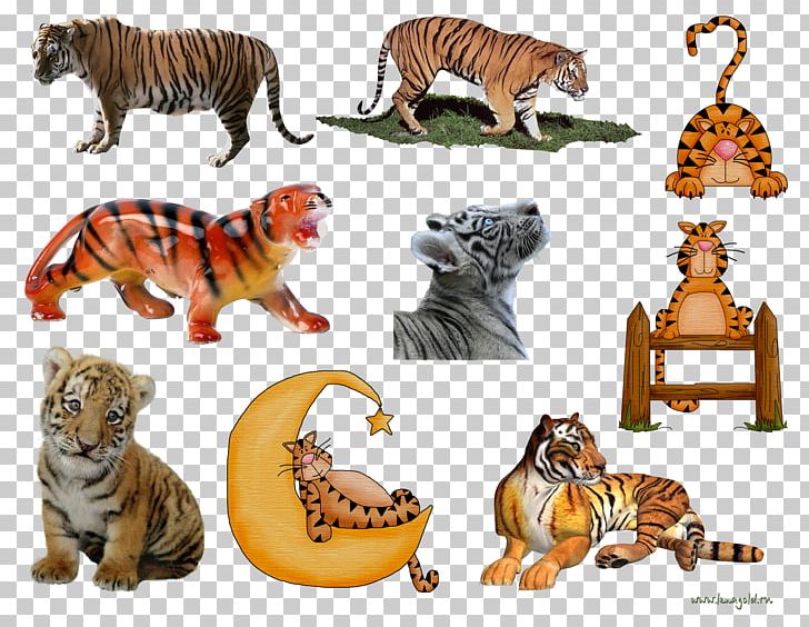 Tiger Lion Cat Portable Network Graphics PNG, Clipart, Animal, Animal Figure, Animals, Big Cats, Carnivoran Free PNG Download