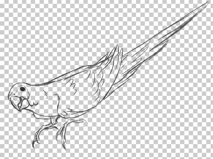 Beak Feather Marine Mammal Line Art Sketch PNG, Clipart, Animals, Arm, Artwork, Beak, Bird Free PNG Download