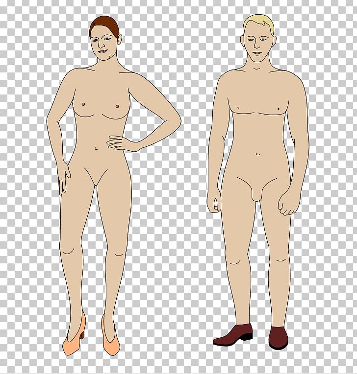 Female Trans Man Disease PNG, Clipart, Abdomen, Active Undergarment, Animation, Arm, Boy Free PNG Download