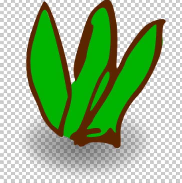Seaweed Aquatic Plants PNG, Clipart, Algae, Aquatic Animal, Aquatic Plants, Butterfly, Cartoon Free PNG Download