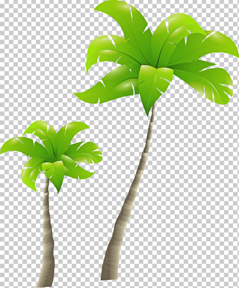 Palm Tree PNG, Clipart, Arecales, Flower, Flowerpot, Green, Houseplant Free PNG Download