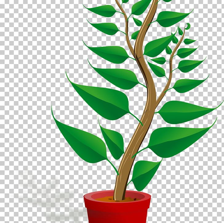 Cartoon Plant Drawing PNG, Clipart, Animation, Auxin, Branch, Cartoon, Clip Free PNG Download