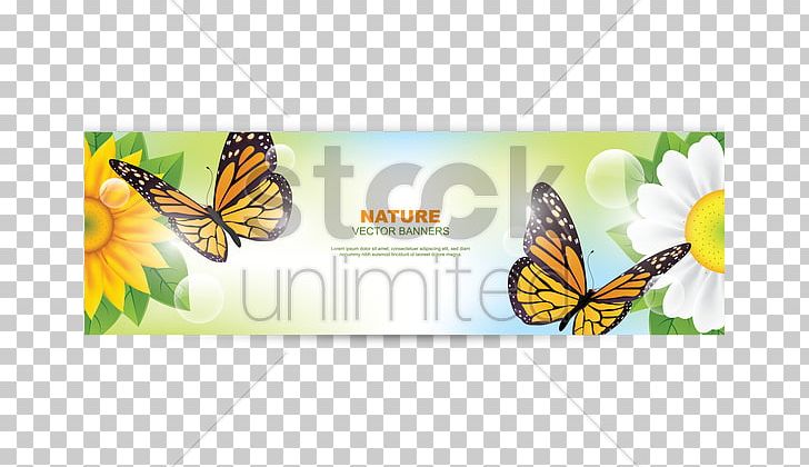 Monarch Butterfly PNG, Clipart, Brush Footed Butterfly, Butterfly, Butterfly Illustration, Common Sunflower, Computer Icons Free PNG Download