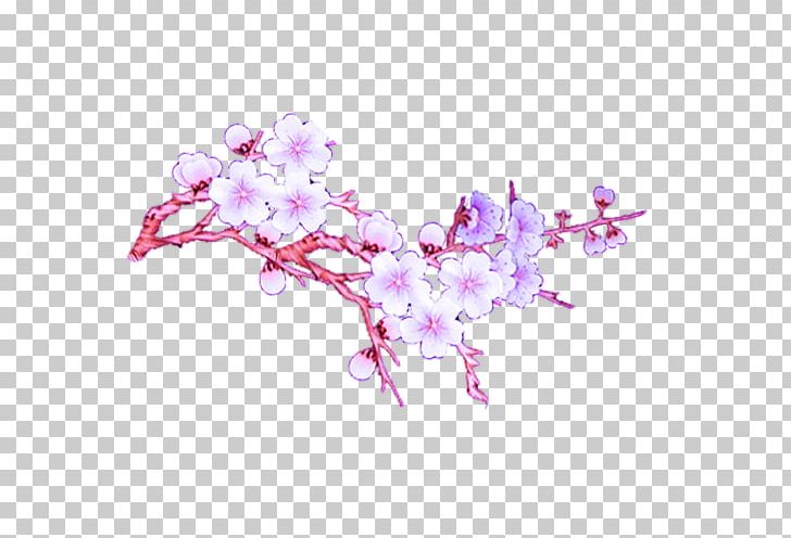 Plum PNG, Clipart, Branch, Cherry Blossom, Creative, Designer, Flower Free PNG Download